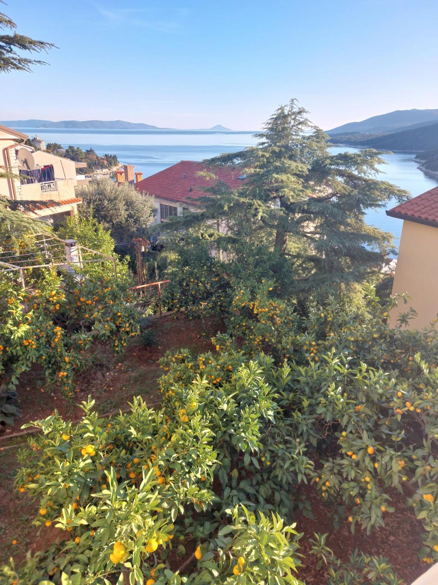 Apartment Park Rabac Exterior photo